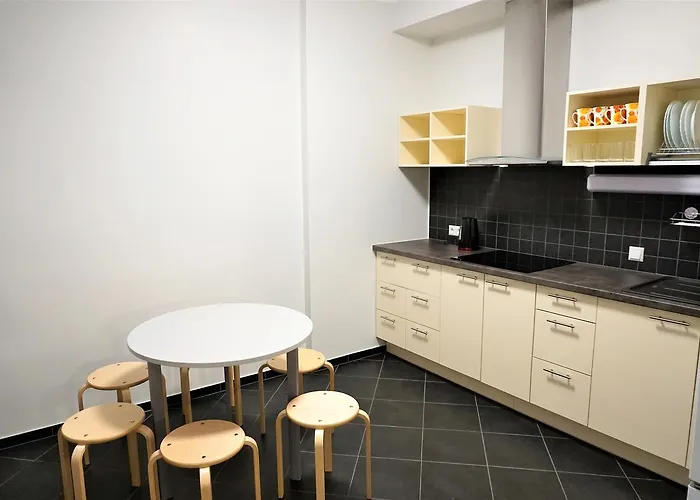 Downtown Vandrarhem *