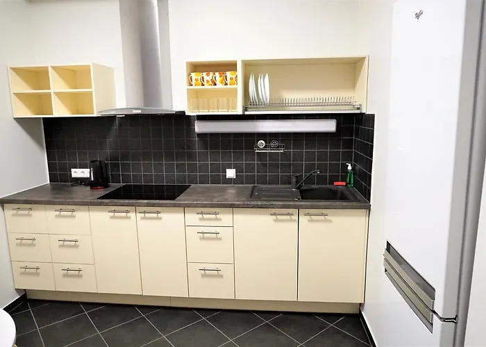 Downtown Vandrarhem Tartu